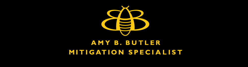 Amy B. Butler, LLC